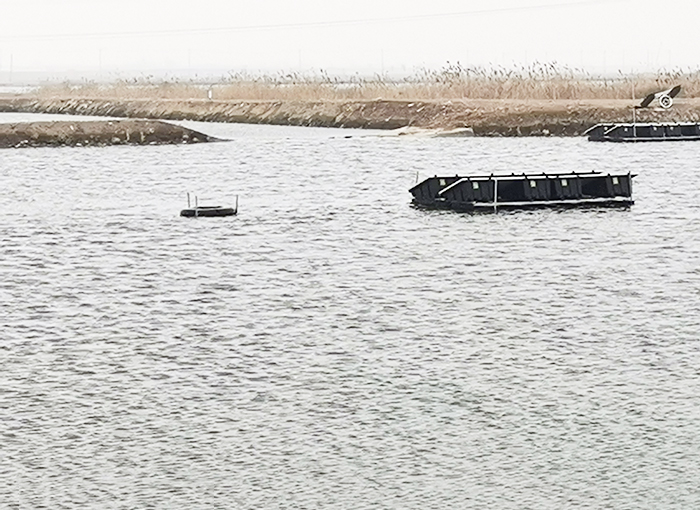 湖北太陽能曝氣機