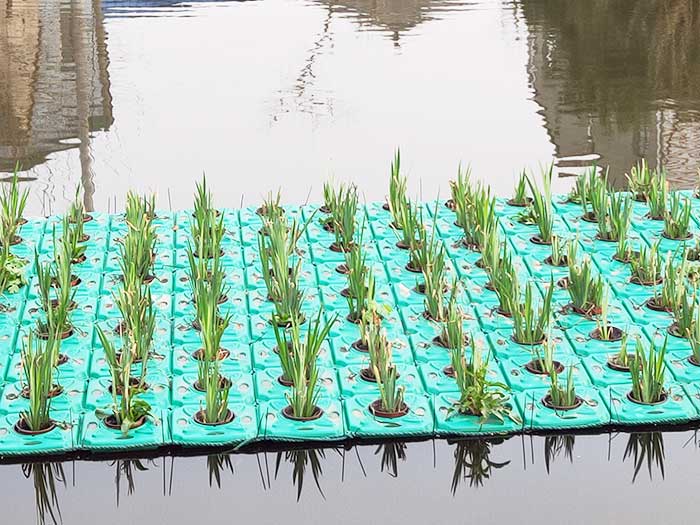 太陽能曝氣機(jī)